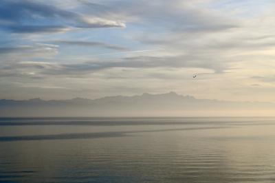 Bodensee 30.10.2022_1266